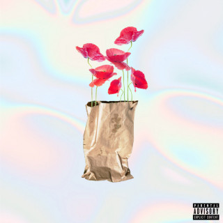 Yoshi Flower - Brown Paper Bag (Maxi) EP cover