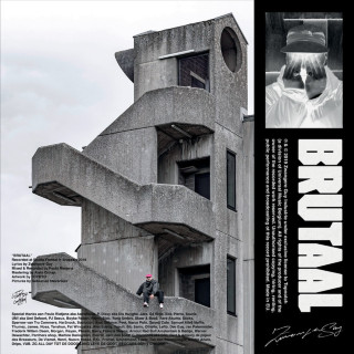Zwangere Guy - BRUTAAL album cover