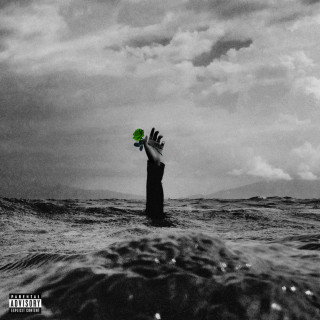 Yoshi Flower - I Will Not Let My Love Go To Waste album cover