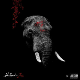 Zone 2 - Hillside Zoo album cover