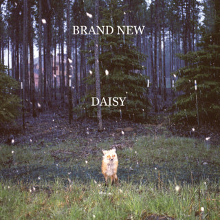 Brand New - Daisy album cover