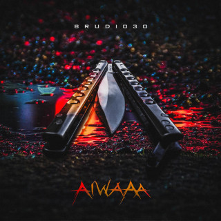 Brudi030 - Aiwaaa album cover