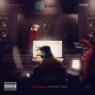 Doe Boy x TM88 - 88 Birdz mixtape cover