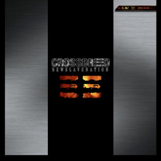 Crossbreed - New Slave Nation EP cover