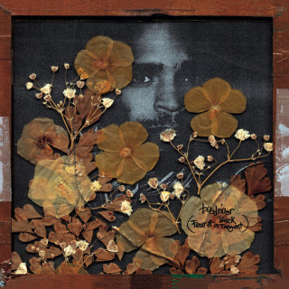 Busdriver - Fear Of A Black Tangent album cover