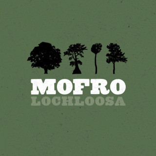JJ Grey & Mofro - Lochloosa album cover