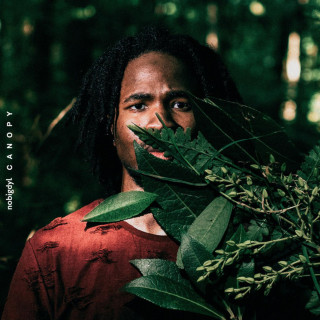 nobigdyl. - Canopy album cover