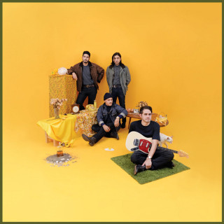 together PANGEA - Bulls And Roosters album cover