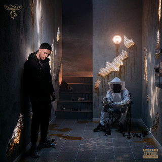 Hornet La Frappe - Ma Ruche album cover