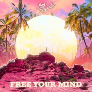 Big Gigantic - Free Your Mind album cover