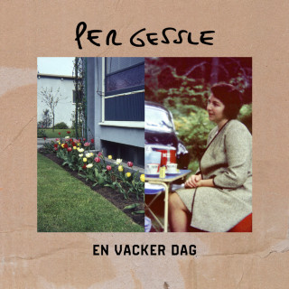 Per Gessle - En Vacker Dag album cover