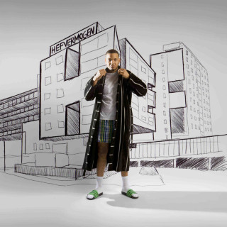Hef - Hefvermogen album cover