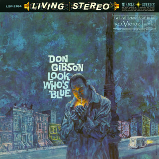 Don Gibson - Look Who's Blue album cover