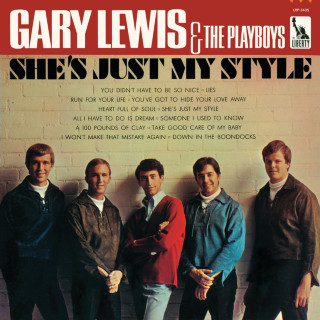Gary Lewis & The Playboys - She's Just My Style album cover