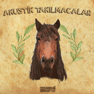 Dolu Kadehi Ters Tut - Akustik Takılmacalar album cover