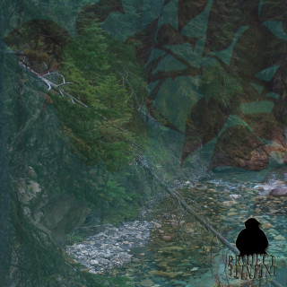 Death Plus - Wilderness album cover