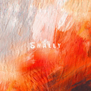 AB6IX - 5NALLY EP cover
