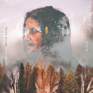 David Dunn - Perspectives album cover