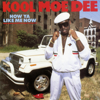 Kool Moe Dee - How Ya Like Me Now album cover