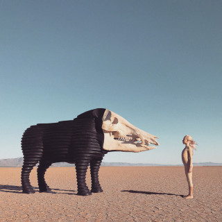 Man Man - Dream Hunting In The Valley Of The In-Between album cover