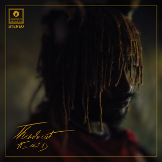 Thundercat - It Is What It Is album cover
