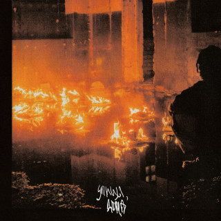 SALUKI - УЛИЦЫ, ДОМА album cover