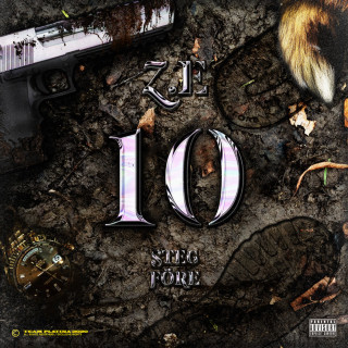 Z.E & ICEKIID - 10 STEG FÖRE album cover