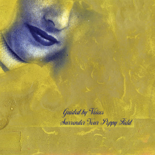 Guided By Voices - Surrender Your Poppy Field album cover