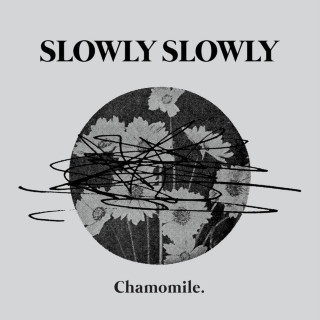 Slowly Slowly - Chamomile album cover