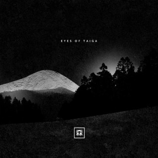 K. Forest - Eyes Of Taiga album cover