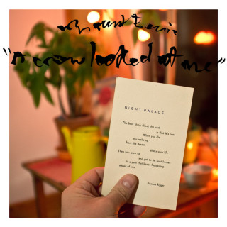 Mount Eerie - A Crow Looked At Me album cover