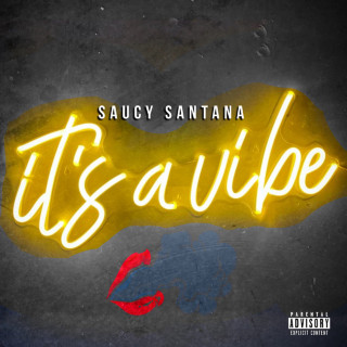Saucy Santana - It's A Vibe mixtape cover