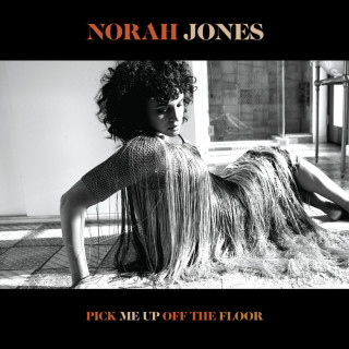 Norah Jones - Pick Me Up Off The Floor album cover