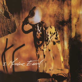 I Mother Earth - Dig album cover