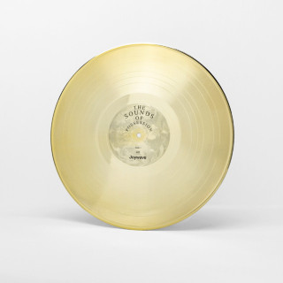 Joywave - Possession album cover
