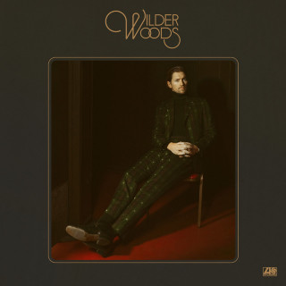 Wilder Woods - Wilder Woods album cover