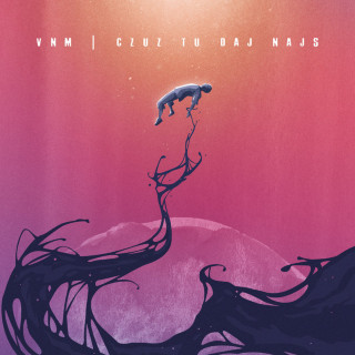 VNM - Czuz Tu Daj Najs album cover