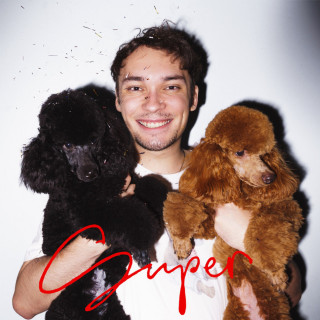 Basic Boy - SUPERNORMAL, Vol. 1 album cover