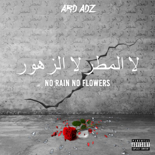 Ard Adz - No Rain No Flowers EP cover