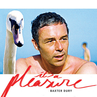 Baxter Dury - It's A Pleasure album cover