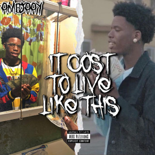 Ambjaay - It Cost To Live Like This EP cover