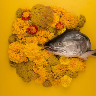 Haley Heynderickx - Fish Eyes EP cover