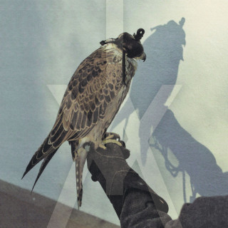Iceage - You're Nothing album cover