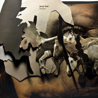 Jenny Hval - Viscera album cover