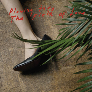 Iceage - Plowing Into The Field Of Love album cover