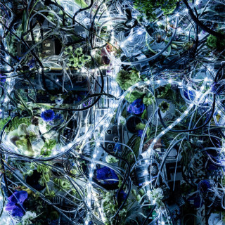Aimer - ninelie EP cover