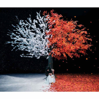 Aimer - 茜さす/everlasting snow (Akane Sasu / Everlasting Snow) EP cover