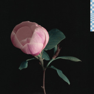 Zachary Knowles - Magnolia EP cover