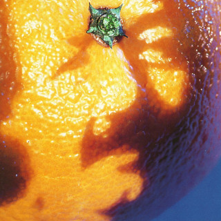 Phish - A Picture Of Nectar album cover