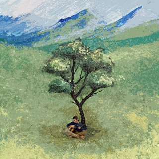 Canozan - Armut Ağacı album cover